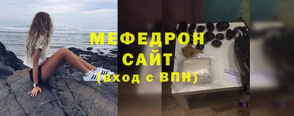 мдпв Гусев