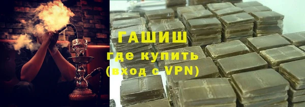 мдпв Гусев