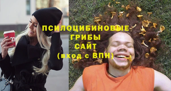 мдпв Гусев