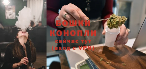 мдпв Гусев