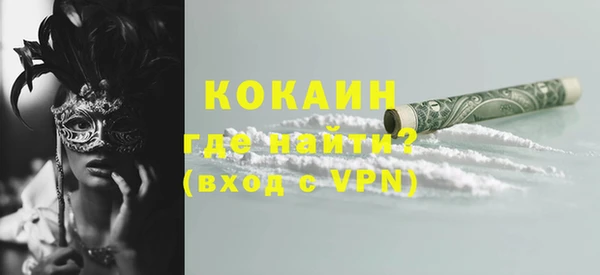 мдпв Гусев