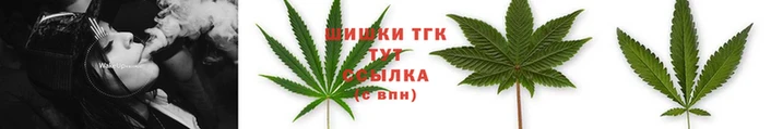 гидра Гусь-Хрустальный