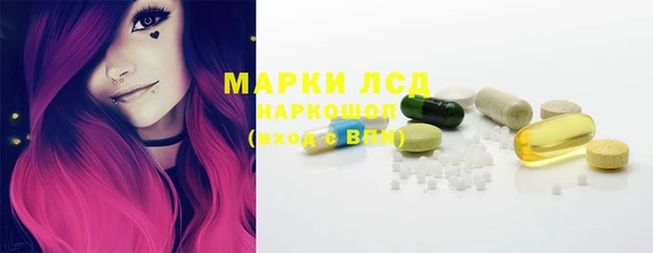гидра Гусь-Хрустальный