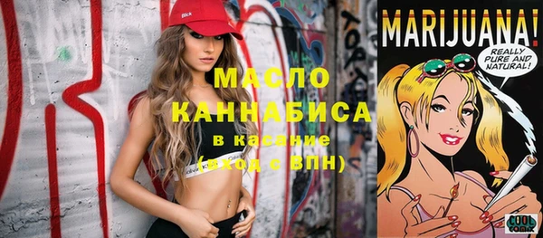 гидра Гусь-Хрустальный