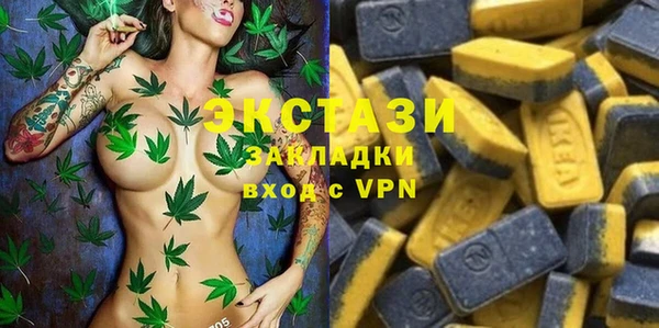 мдпв Гусев