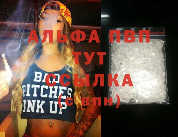 мдпв Гусев