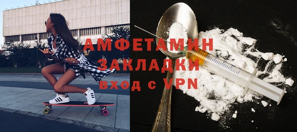 мдпв Гусев