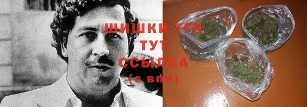 мдпв Гусев
