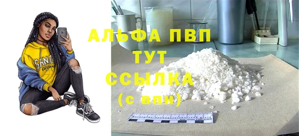 мдпв Гусев