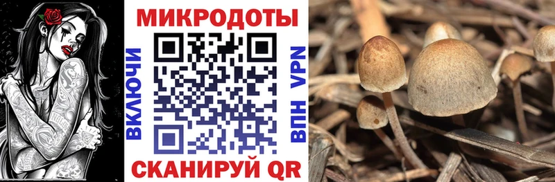 Галлюциногенные грибы GOLDEN TEACHER  Купить закладки  Рудня 